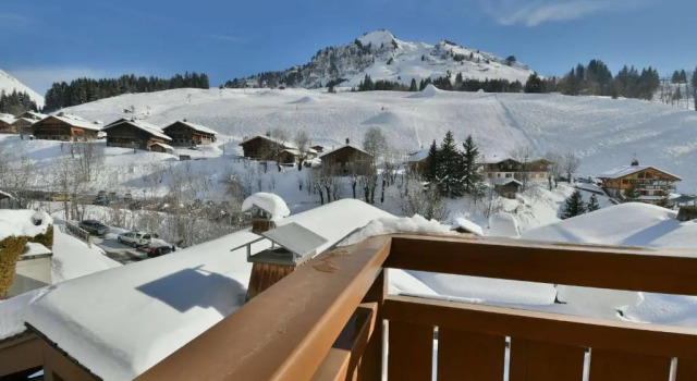 Appartement Le Grand-Bornand, 2 pièces, 4 personnes - FR-1-391-110