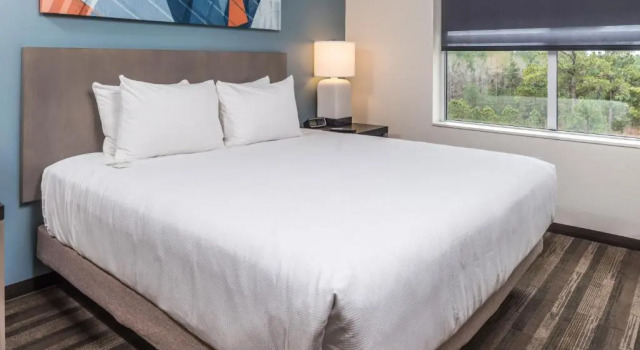 Двухместный Люкс с кухней c 1 комнатой Hyatt House Raleigh/Rdu/Brier Creek