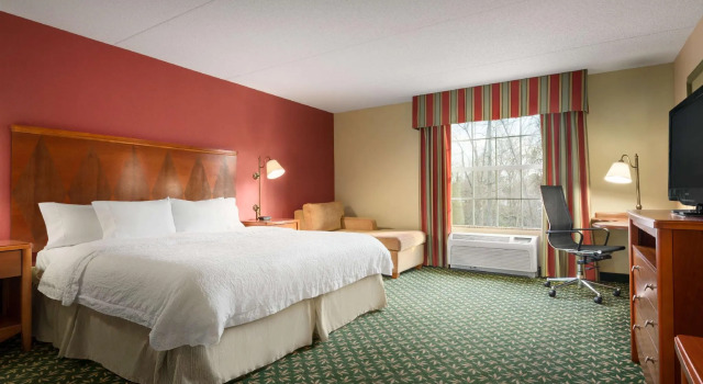 Двухместный номер Standard Hampton Inn & Suites Williamsburg-Central