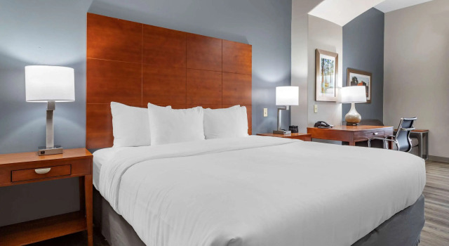 Двухместный люкс Comfort Inn & Suites Cleveland TX