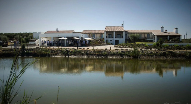 Номер Standard Monte da Estrela - Country House & SPA