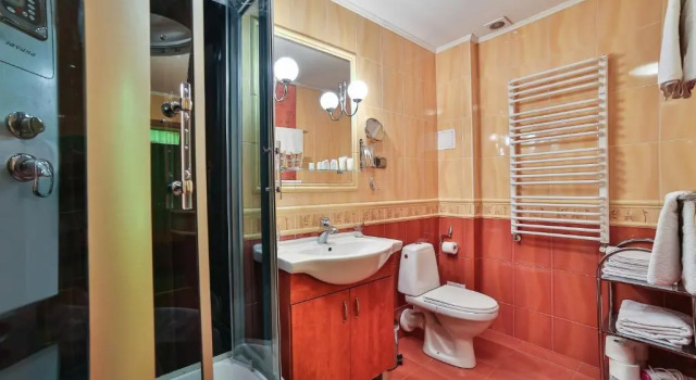 Номер Standard Hotel Wiosna