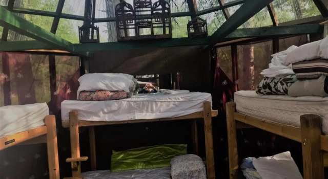 Кровать в общем номере Billies Backpackers Hostel