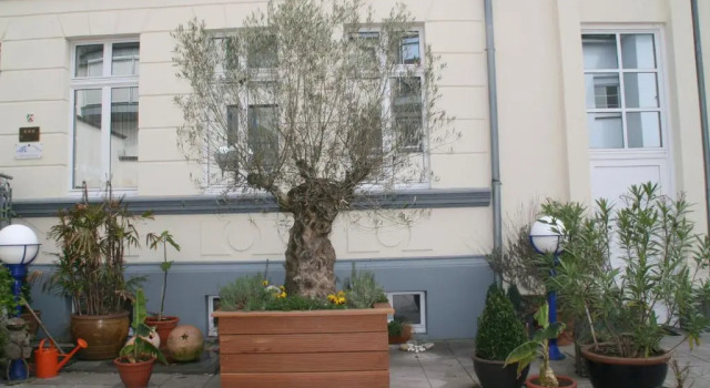 Номер Standard Hotel am Kastell
