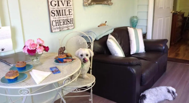 Люкс Must Love Dogs B&B & Self Contained Cottage