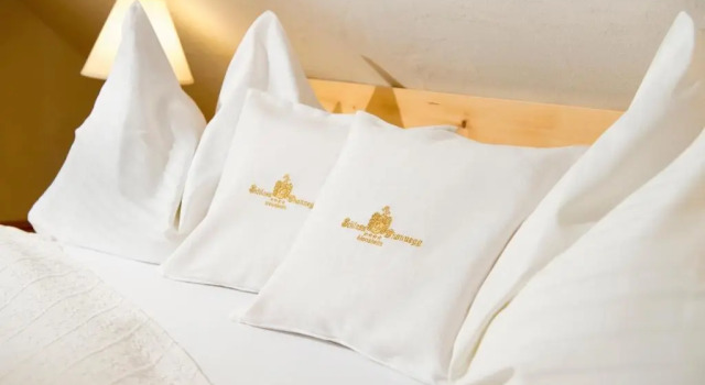 Номер Standard Aparthotel Schloss Thannegg