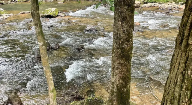 Коттедж Rippling Waters #278