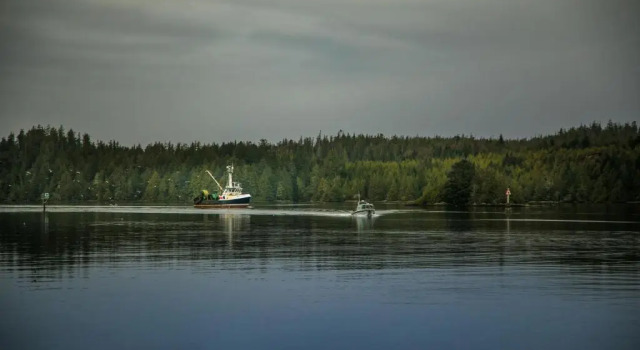 Апартаменты Black Rock Landing