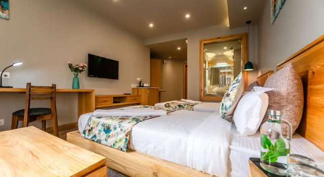 Номер Premium с балконом The Bodhi Tree Ladakh