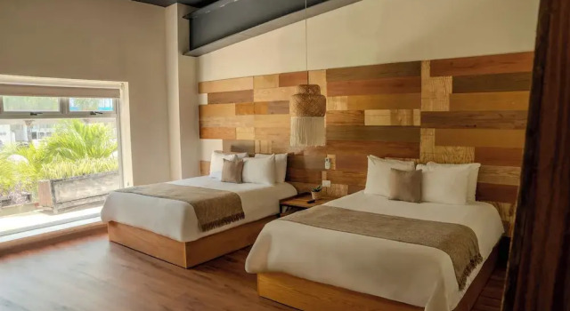 Номер Mayan Monkey Cancun - Social Hostel