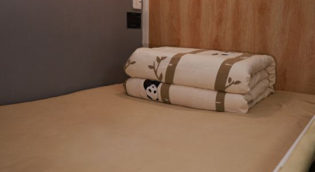 Кровать в общем номере (женский номер) Panda Courtyard Youth Hostel (Kuanzhai Alley Branch)