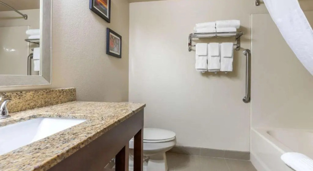 Люкс Comfort Inn Asheville Airport