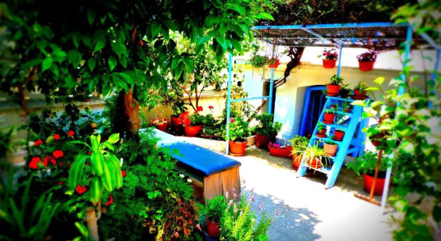 Номер Standard Blanca Rosa Valparaiso B&B