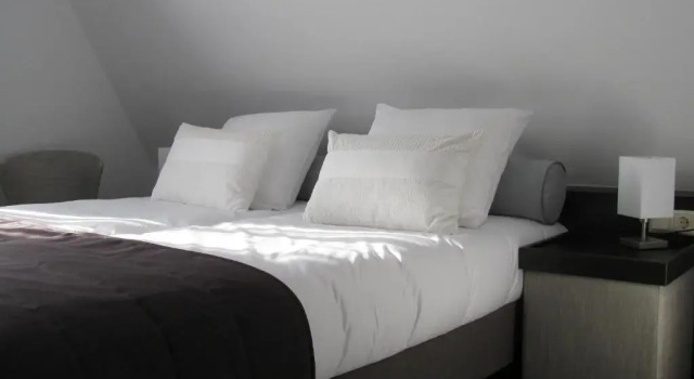 Номер Comfort Boutique Hotel de Zwaluw