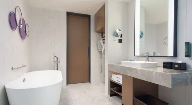 Люкс Hampton by Hilton Hangzhou Xiaoshan Jiangnan Technology City