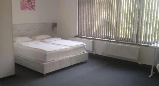Люкс Sakura Inn