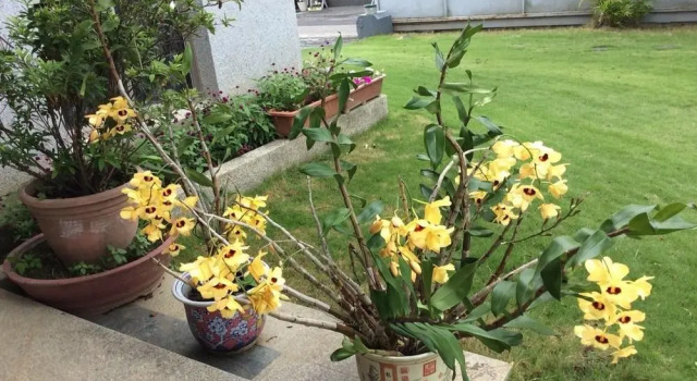 Yuan Zhong Yuan B&B