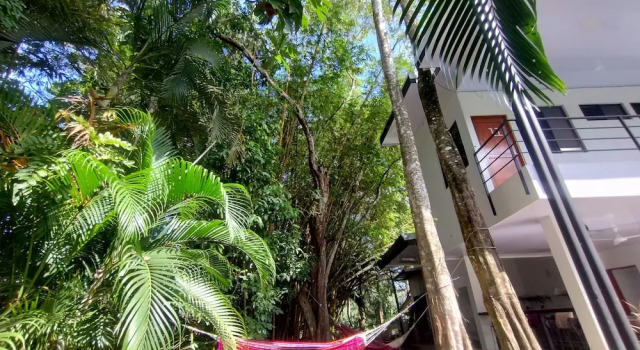 Номер Comfort Casajungla Hostel