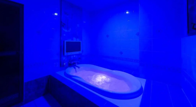 Номер Standard Hotel Plant Garden Resort