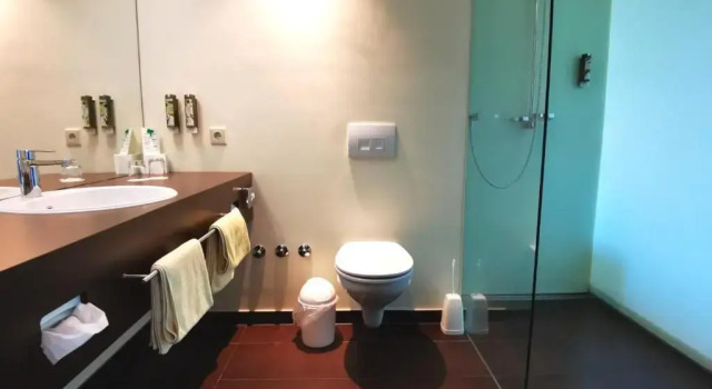 Двухместный номер Standard с видом на озеро Hochwälder Wohlfühlhotel