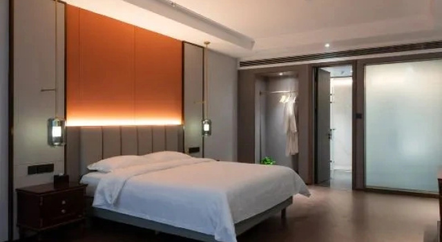 Dwuosobowy suite Xinxiang International Hotel