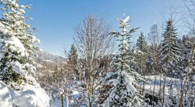Chalet Yosi Im Brixental, Забронировать Шале Виллы Inntal, Вилла