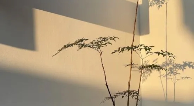Tingxueyuan, Foglalás Szálloda Szucsou (Jiangsu) 