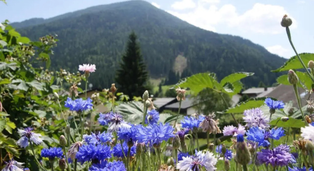 Номер Standard Das Sonnenheim Hotel und Garni