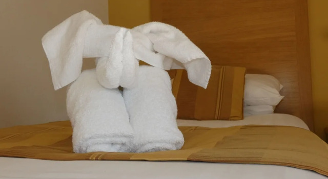 Семейный номер Standard The Old Ginn House Inn
