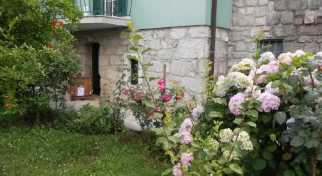 Tranquity Studio Apartment Ika