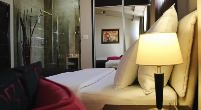Двухместный номер Standard Hotel Alexandar Lux