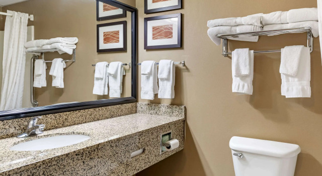 Четырёхместный номер Standard Comfort Inn Albert Lea at Trails Travel Center