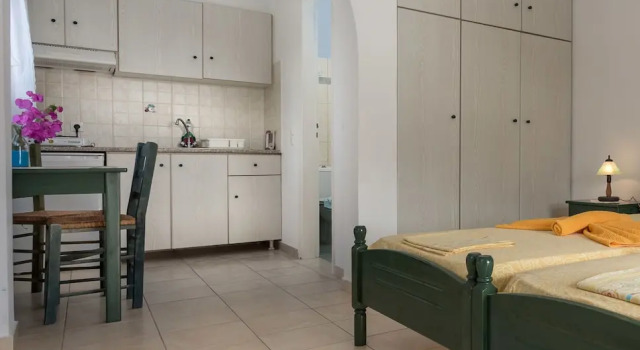 Apartament 1 dormitor cu balcon Firoa Studios