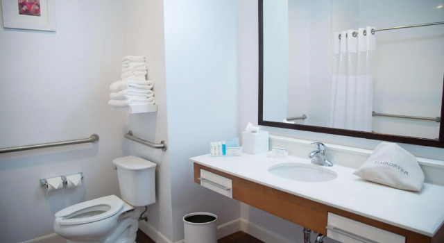 Четырёхместный номер Standard Hampton Inn & Suites McKinney