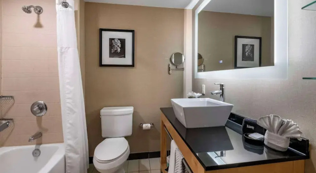 Люкс c 1 комнатой Cambria Hotel Ft Lauderdale, Airport South & Cruise Port