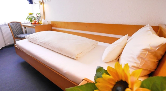 Одноместный номер Economy Kohlers Hotel Engel