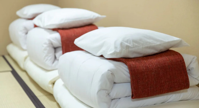 Двухместный номер Standard NAGAHORI HAIRU DOTONBORI CONDO