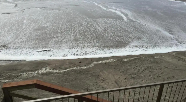 Люкс The Sandcastle Beachfront Hotel