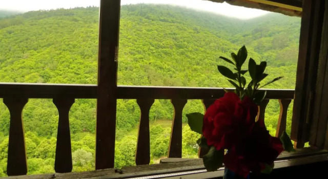 Апартаменты Apartamentos Rurales El Bosque de las Viñas