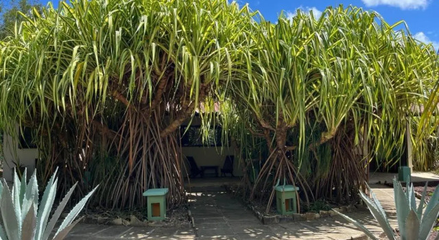 Номер Standard The Happy Coconut Resort