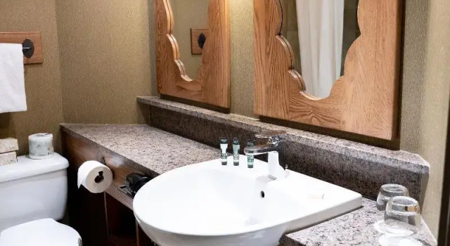 Четырёхместный номер Standard Banff Caribou Lodge and Spa