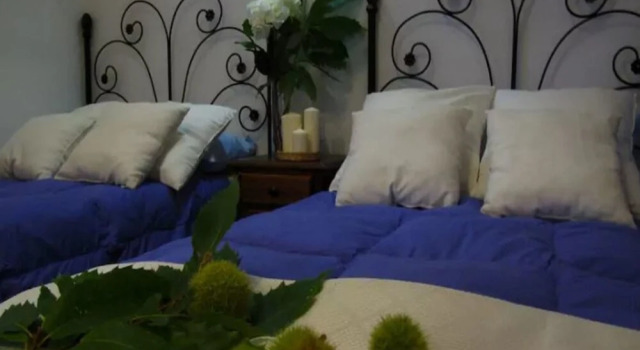 Badajoz 101531 3 Bedroom Holiday home By Mo Rentals