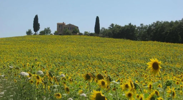 Вилла Agriturismo Chieteno con piscina e AC- Cetona