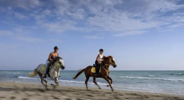 Aldiana Djerba Atlantide, Rezerwuj Hotel Hotele w Dżerba ze śniadaniem, Śniadanie