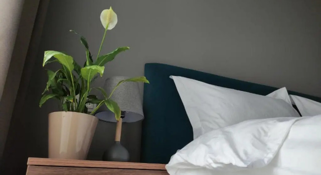 Номер Standard Gastello hotel