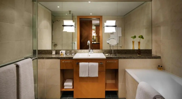 Двухместный номер Hyatt Regency Mainz