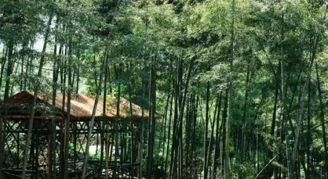 Southern Sichuan Bamboo Sea Wenzhu·Liuqing Homestay, Varaa Hotelli Hotellit Sichuan pysäköinnillä, Pysäköinti