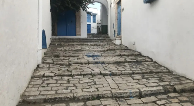 Cosy S3 At Sidi Bou Said Village