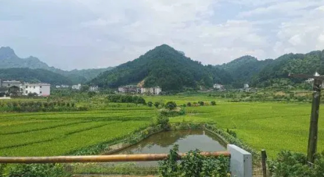 Langshan Bajiaozhai Xiao'er Farm House, Book Farm Stay Hotels in Shaoyang County with Parking, Parking