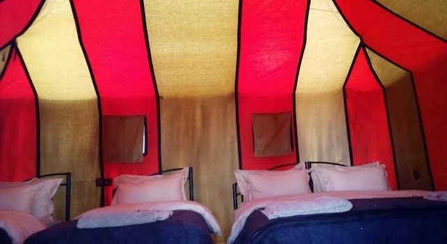 Одноместный номер Standard Camel Trekking Camp & Activities